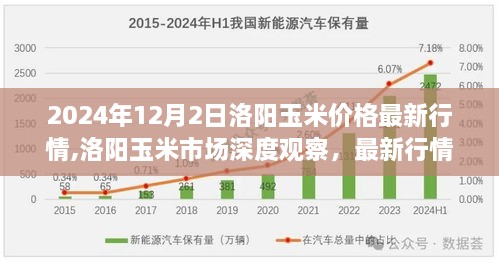 2024年洛阳玉米市场深度观察，最新行情与用户洞察