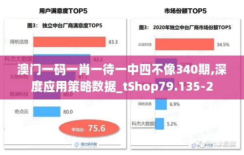 澳门一码一肖一待一中四不像340期,深度应用策略数据_tShop79.135-2