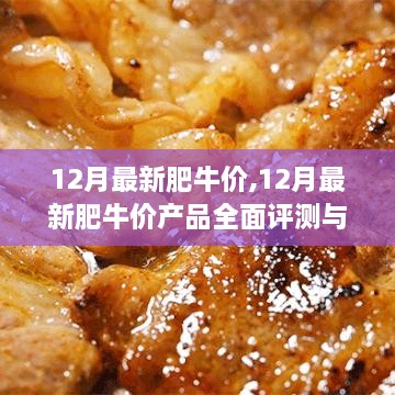 最新肥牛价产品全面评测与介绍，12月肥牛市场走势分析