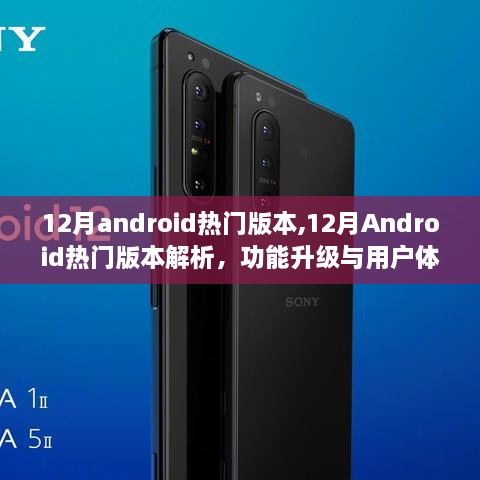 12月Android热门版本解析，功能升级与用户体验的新高度