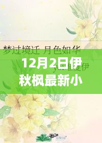 探索未知世界的奇幻之旅，伊秋枫最新小说发布