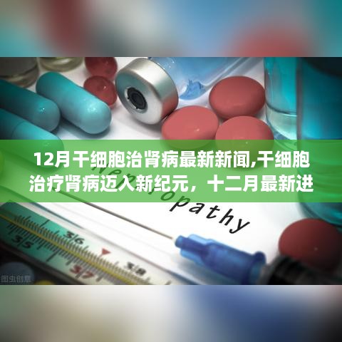 干细胞治疗肾病迈入新纪元，十二月最新进展带来希望之光