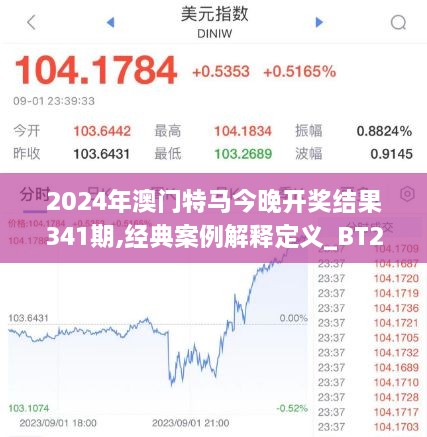 2024年澳门特马今晚开奖结果341期,经典案例解释定义_BT2.892