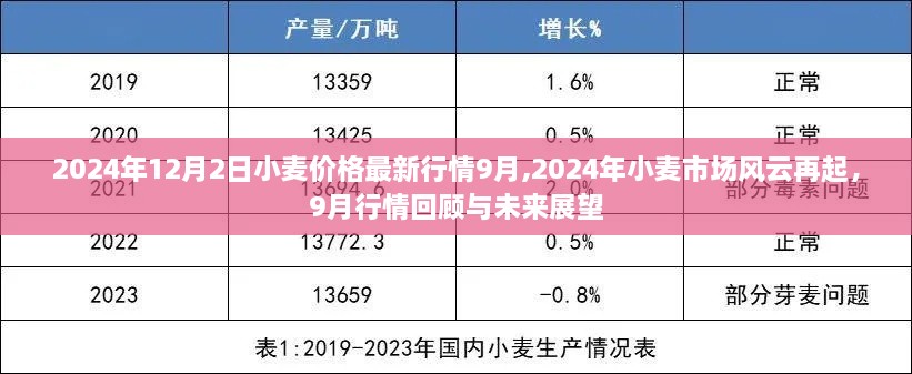 2024年小麦市场风云再起，最新行情回顾与未来展望