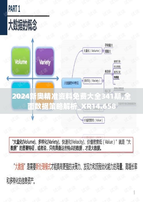 2024新奥精准资料免费大全341期,全面数据策略解析_XR14.658