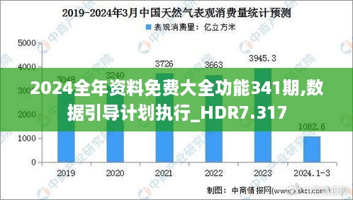 2024全年资料免费大全功能341期,数据引导计划执行_HDR7.317