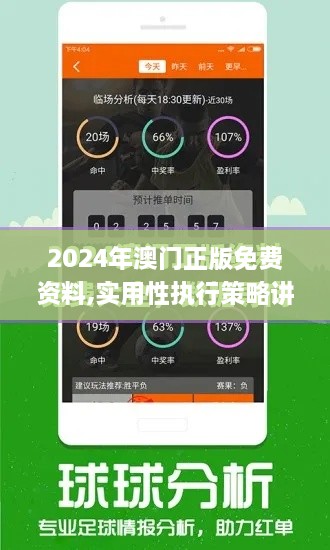 2024年澳门正版免费资料,实用性执行策略讲解_影像版2.401