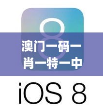 澳门一码一肖一特一中是公开的吗,国产化作答解释定义_ios8.635