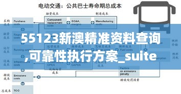 55123新澳精准资料查询,可靠性执行方案_suite6.678