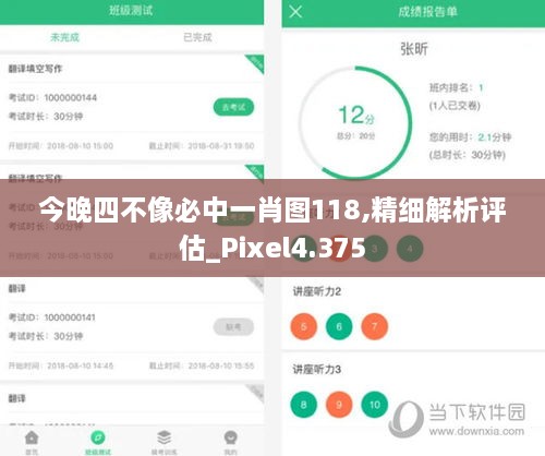 今晚四不像必中一肖图118,精细解析评估_Pixel4.375