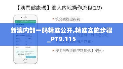 新澳内部一码精准公开,精准实施步骤_PT9.115