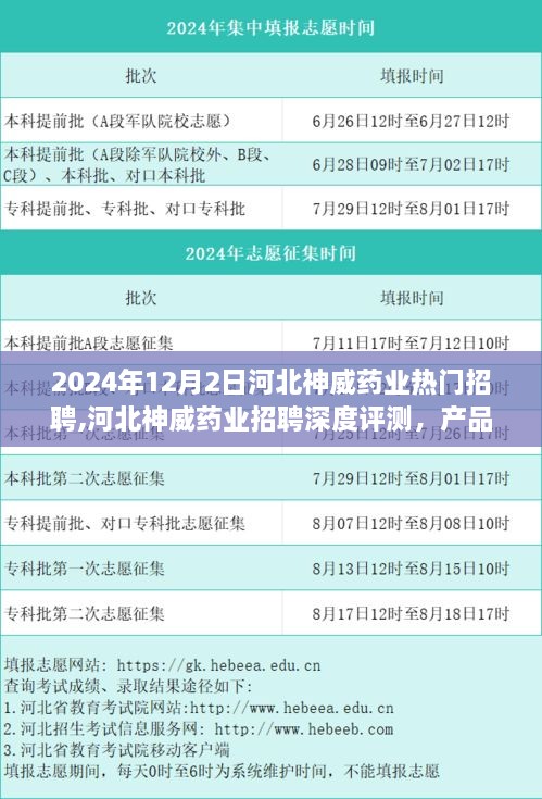 河北神威药业招聘深度解析，产品特性、用户体验与竞品对比，热门招聘来袭！