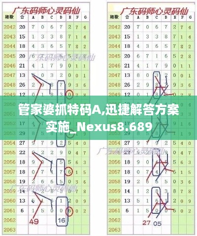 管家婆抓特码A,迅捷解答方案实施_Nexus8.689