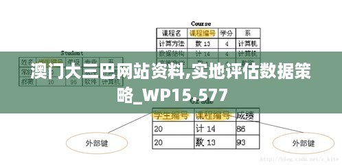 澳门大三巴网站资料,实地评估数据策略_WP15.577