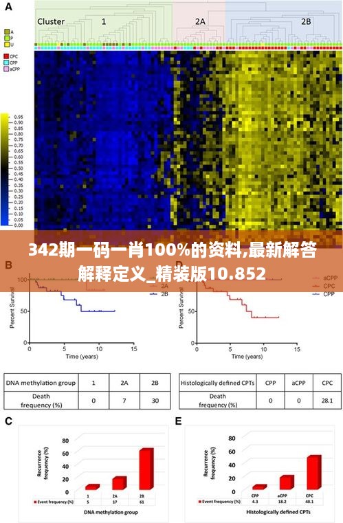 342期一码一肖100%的资料,最新解答解释定义_精装版10.852