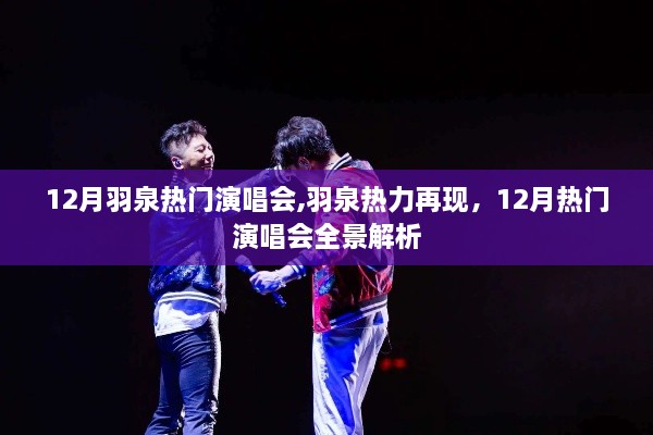 12月羽泉热门演唱会,羽泉热力再现，12月热门演唱会全景解析