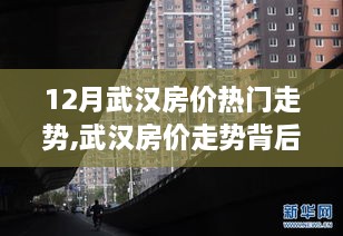 武汉房价走势揭秘，学习变化，拥抱未来，筑梦家园背后的故事