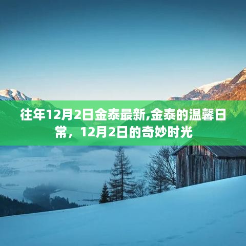 金泰温馨日常，12月2日的奇妙时光记录