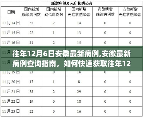 如何快速查询往年12月6日安徽最新病例信息及获取指南