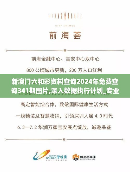 新澳门六和彩资料查询2024年免费查询341期图片,深入数据执行计划_专业款2.205