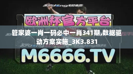 管家婆一肖一码必中一肖341期,数据驱动方案实施_3K3.831