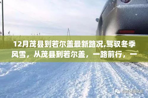 冬季茂县至若尔盖路况更新，风雪前行路，学习与成长铸就自信与成就之旅