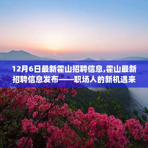 12月6日霍山最新招聘信息发布，职场人的新机遇