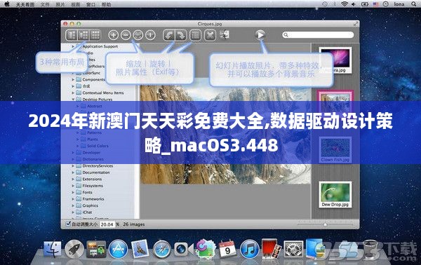 2024年新澳门天天彩免费大全,数据驱动设计策略_macOS3.448