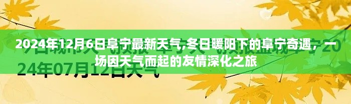 冬日暖阳下的阜宁奇遇，友情深化之旅，2024年12月6日阜宁最新天气预报