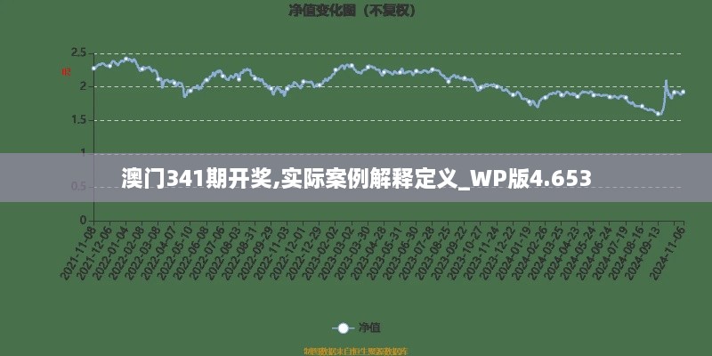 澳门341期开奖,实际案例解释定义_WP版4.653