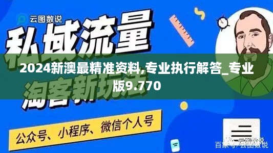 2024新澳最精准资料,专业执行解答_专业版9.770