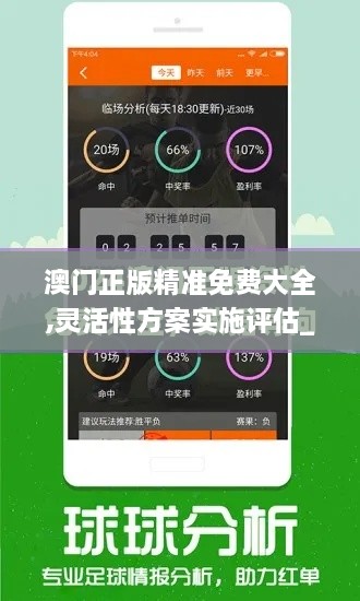 澳门正版精准免费大全,灵活性方案实施评估_Tizen7.401