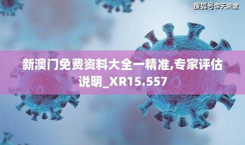 新澳门免费资料大全一精准,专家评估说明_XR15.557