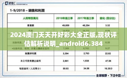 2024澳门天天开好彩大全正版,现状评估解析说明_android6.384