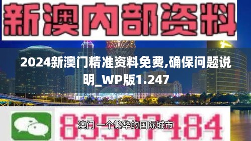 2024新澳门精准资料免费,确保问题说明_WP版1.247