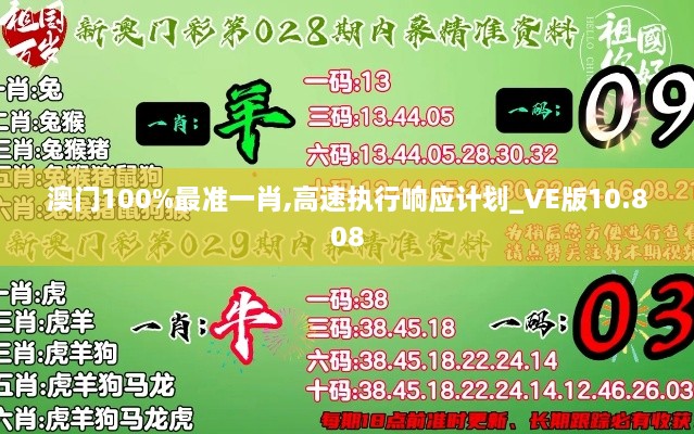 澳门100%最准一肖,高速执行响应计划_VE版10.808