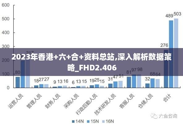 2023年香港+六+合+资料总站,深入解析数据策略_FHD2.406