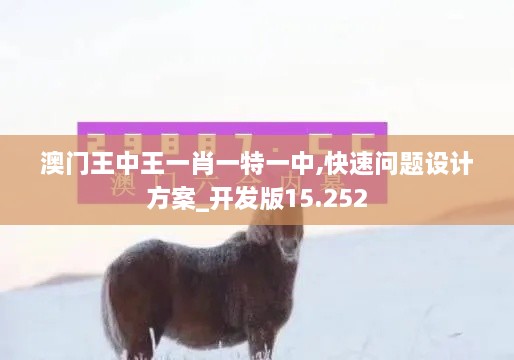 澳门王中王一肖一特一中,快速问题设计方案_开发版15.252