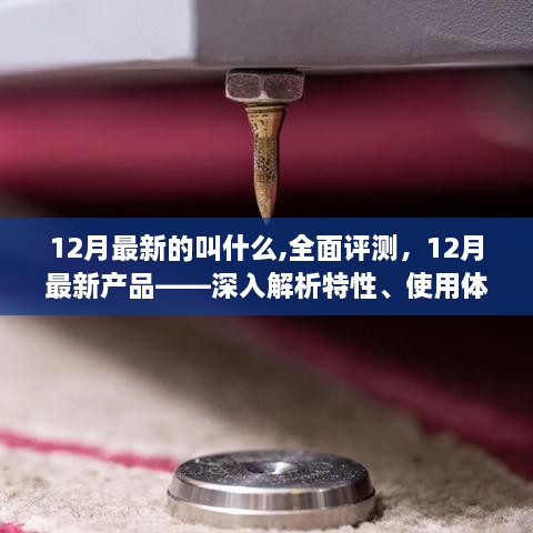 12月最新产品深度评测，特性解析、用户体验与目标用户群体探讨