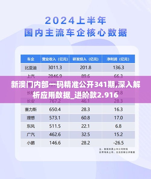 新澳门内部一码精准公开341期,深入解析应用数据_进阶款2.916