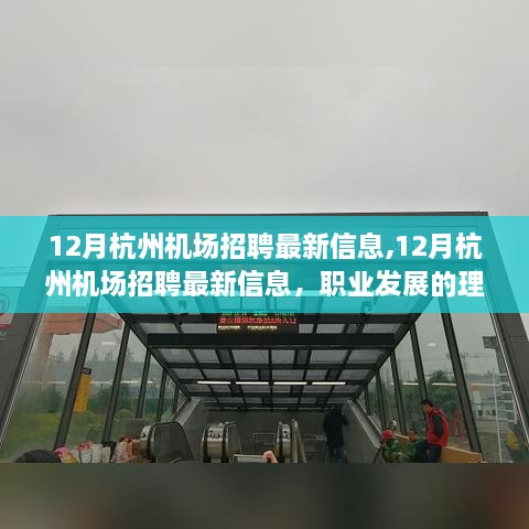 12月杭州机场最新招聘信息，职业发展的理想选择