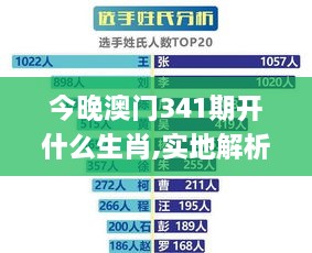 今晚澳门341期开什么生肖,实地解析数据考察_轻量版2.739