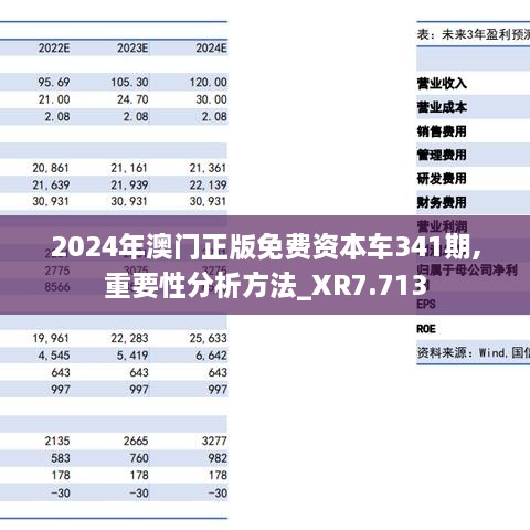 2024年澳门正版免费资本车341期,重要性分析方法_XR7.713