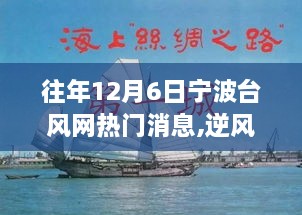 宁波台风网热门消息背后的励志故事，逆风破浪，学习成就自信之光