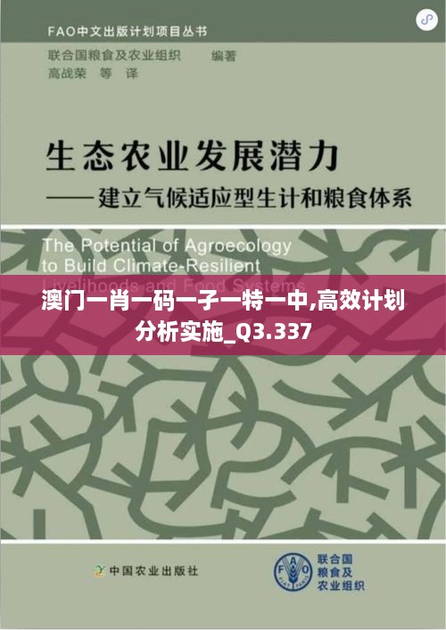 澳门一肖一码一孑一特一中,高效计划分析实施_Q3.337