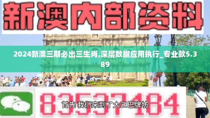 2024新澳三期必出三生肖,深层数据应用执行_专业款5.389