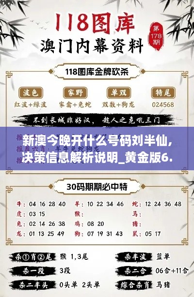 新澳今晚开什么号码刘半仙,决策信息解析说明_黄金版6.478