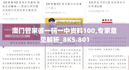 澳门管家婆一码一中资料100,专家意见解析_8K5.801