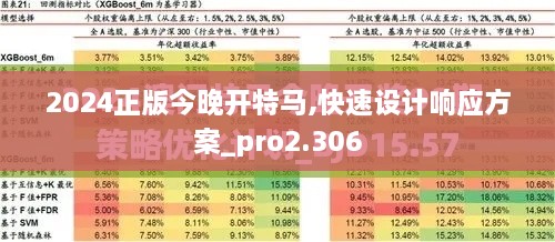 2024正版今晚开特马,快速设计响应方案_pro2.306