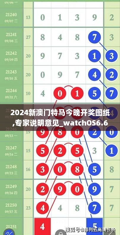 2024新澳门特马今晚开奖图纸,专家说明意见_watchOS6.692